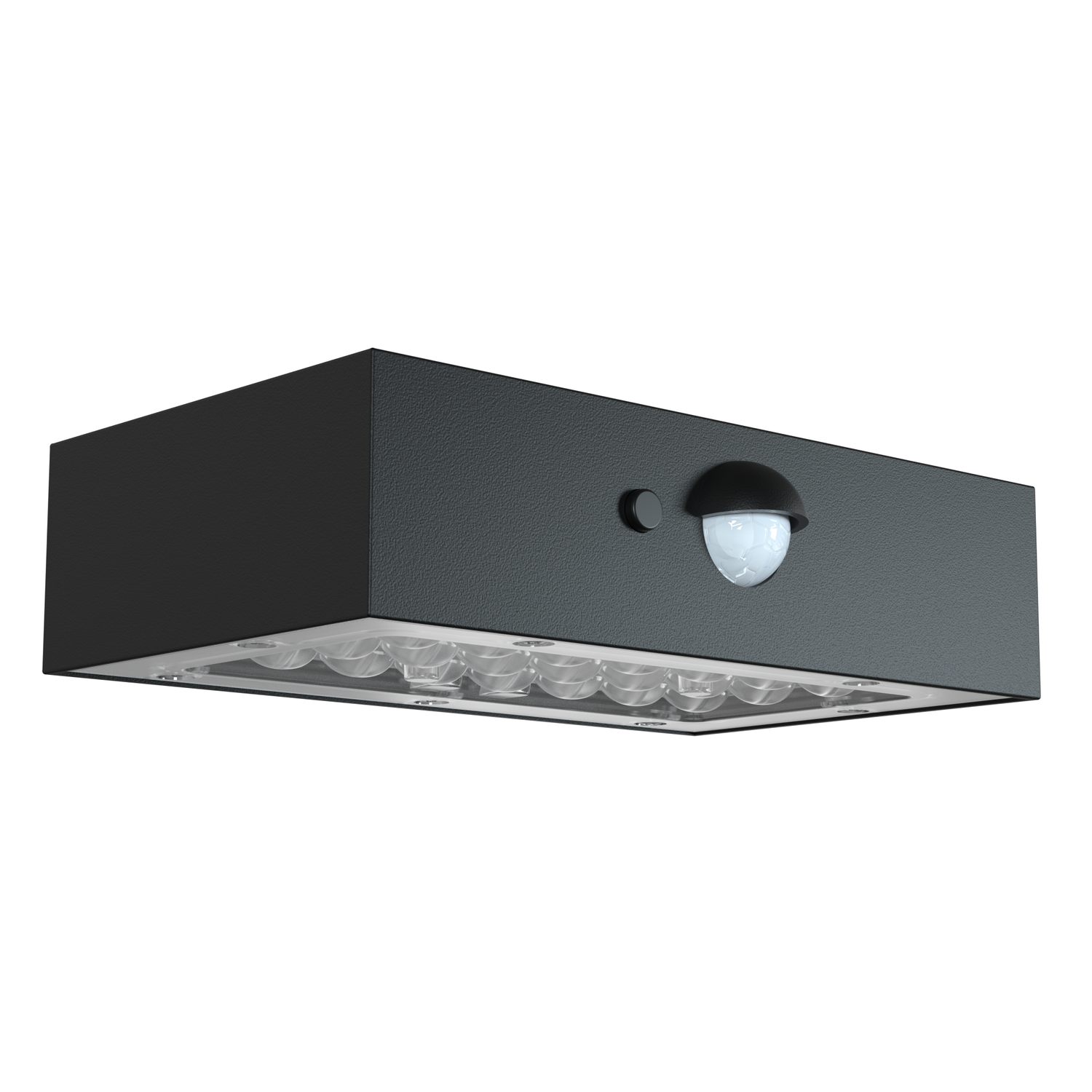 Urban Solar Security Light