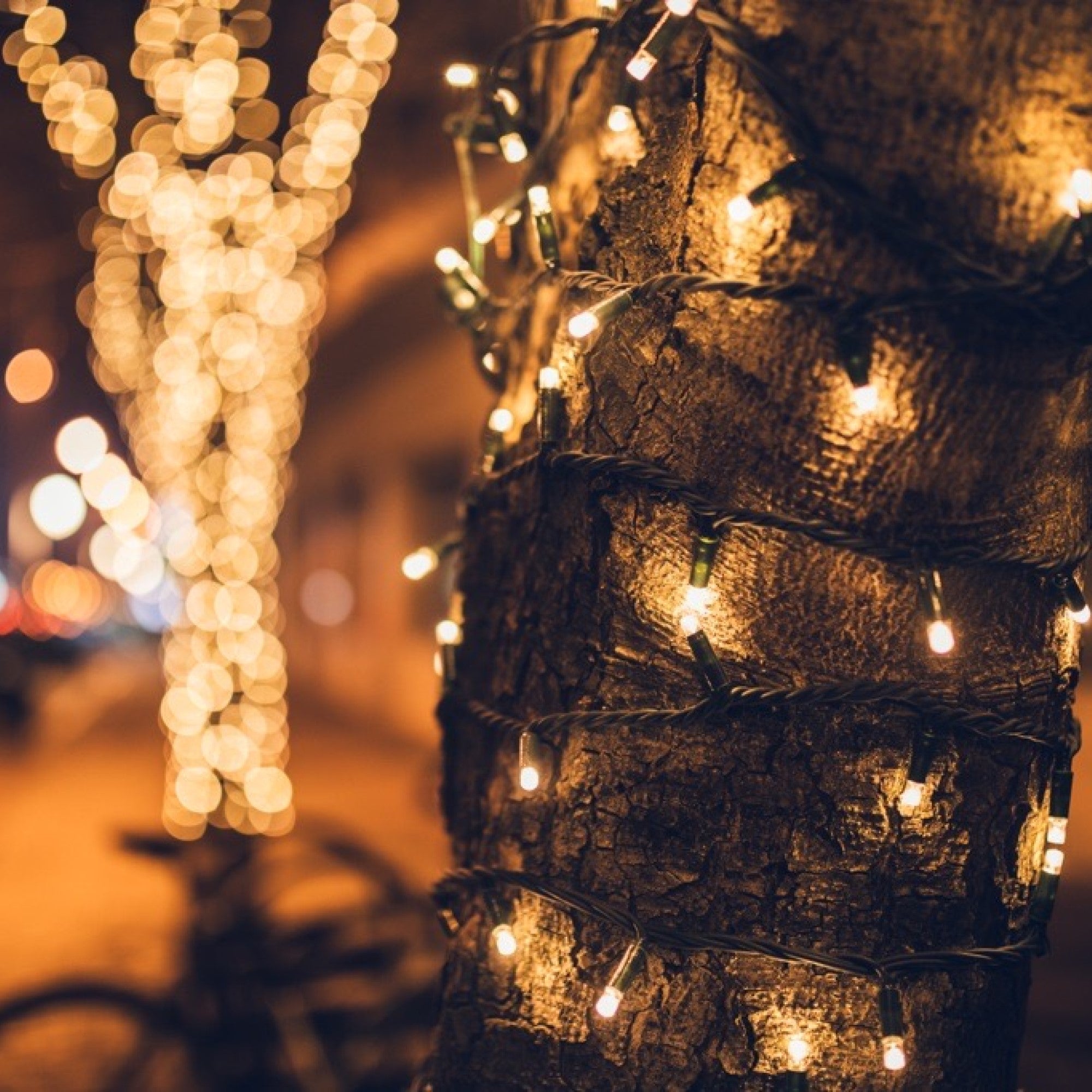 200 LED Heavy Duty Connectable String Lights – Orbit Lighting NZ