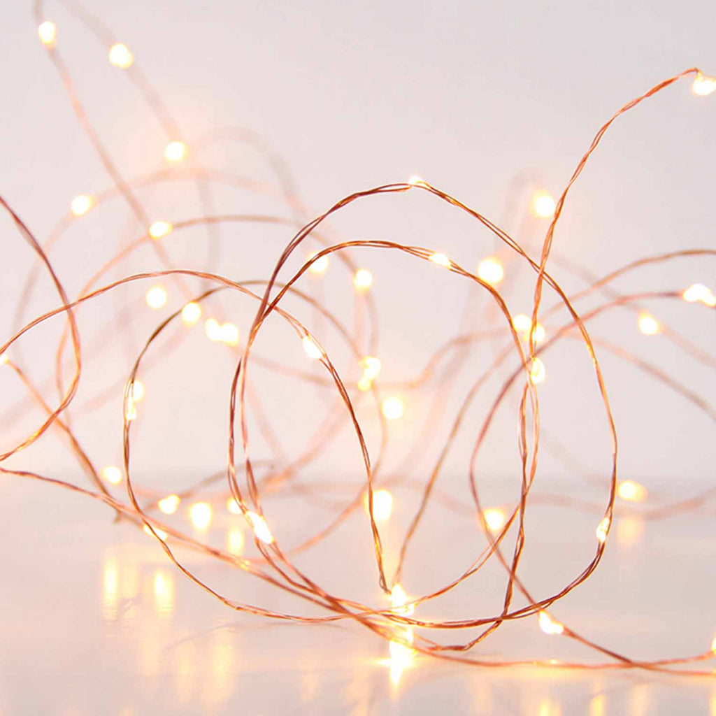 50 LED Copper Seed Lights