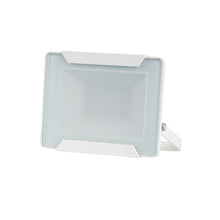 Load image into Gallery viewer, 30W Flood Light White
