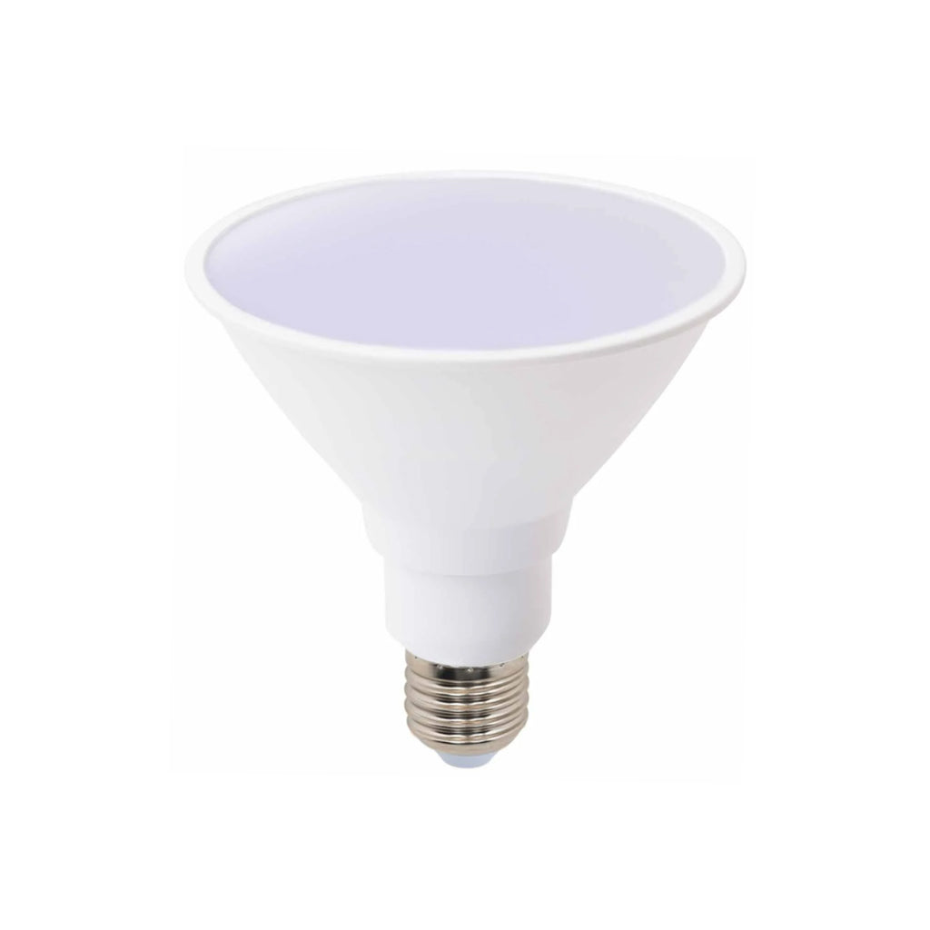 LED PAR38 E27 10W