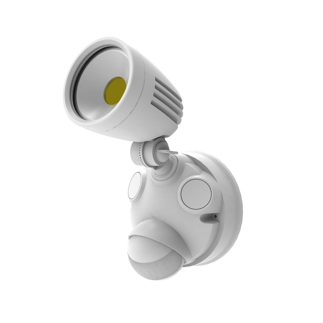 Security Light 10W White with PIR Sensor